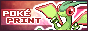 Poképrint badge featuring Flygon