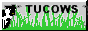 a grey button with a blakc and white cow, green grass, and the word TUCOWS at the top