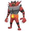 a sprite of Incineroar